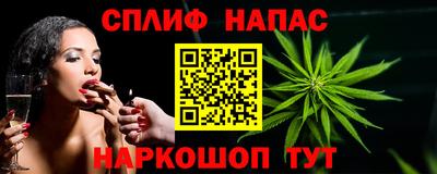 гидропоника Гусев