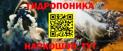 гидропоника Гусев