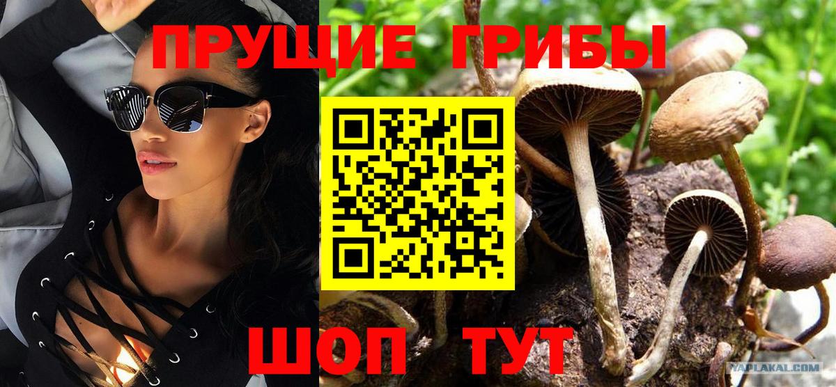 Галлюциногенные грибы GOLDEN TEACHER Мытищи